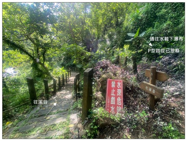 鳳龍山觀音寺、望晴谷秘境、水載下瀑布3082707