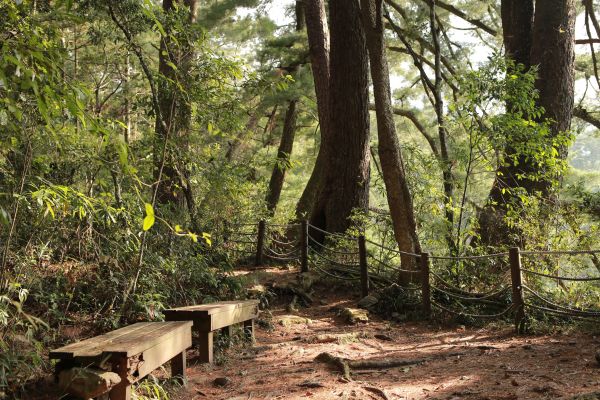 谷關七雄：新山馬崙山178415