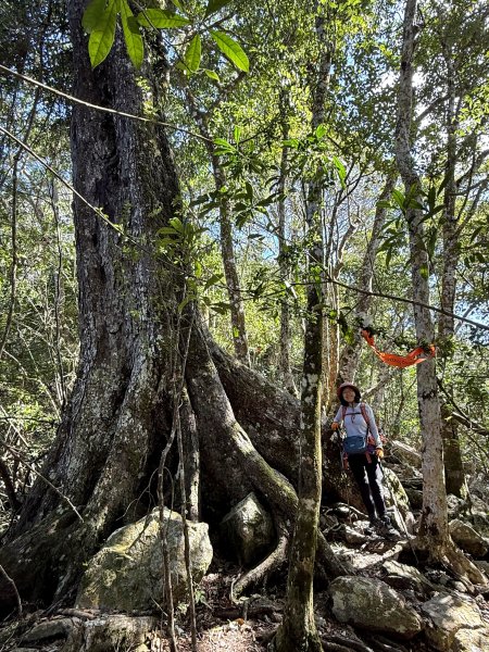 屋東縱走 202503012728999