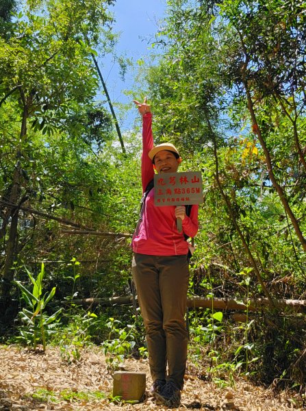 雙溪樹木園>九芎山>九茶山來回2772132