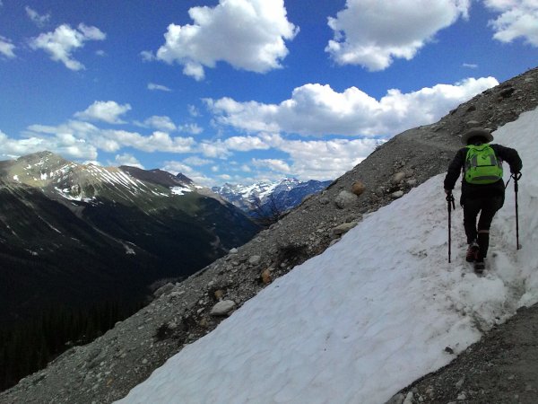 Iceline Trail (YOHO 加拿大幽鶴國家公園)2634599