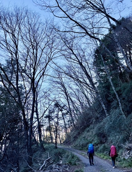 230林道糜爛去    2025.2.28-3.12733784