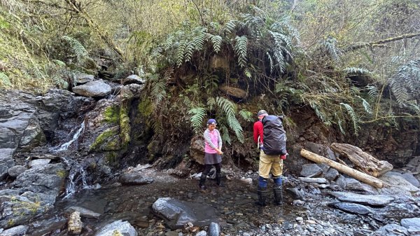 大同加羅湖穆魯洛亞滬庫霞四季警備道2748277