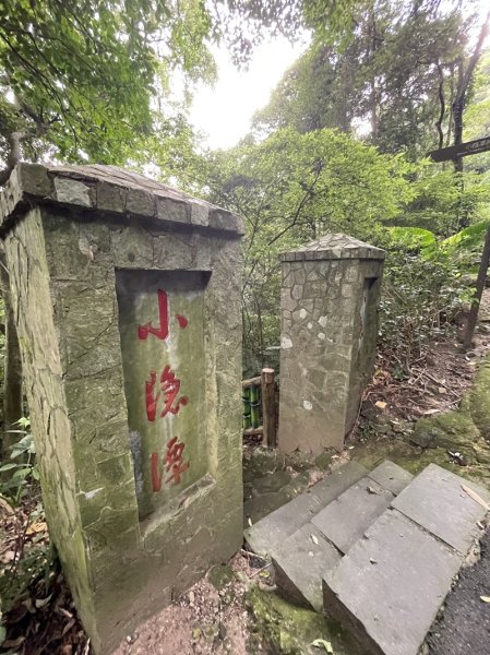 陽明山六瀑連走2877725