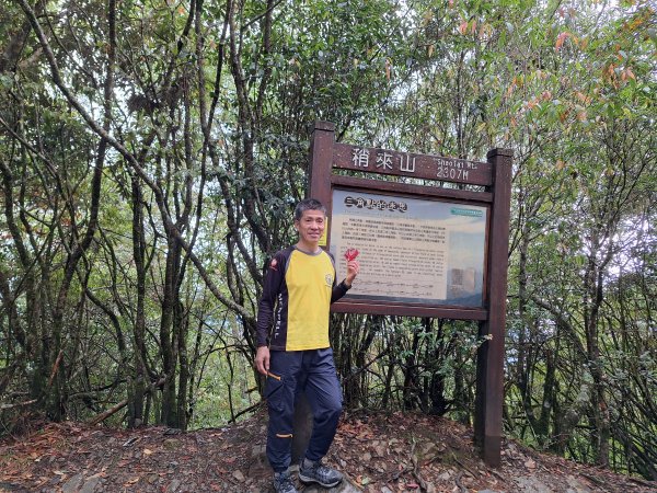 2025-12-20 稍來山 賞紅榨楓2969761