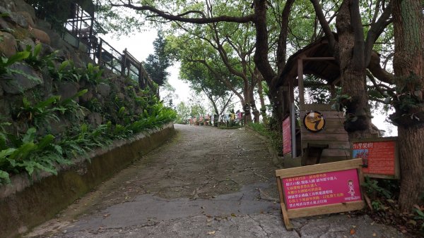 小百岳NO.5觀音山 牛港稜步道  硬漢嶺   楓櫃斗湖登山步道2090116