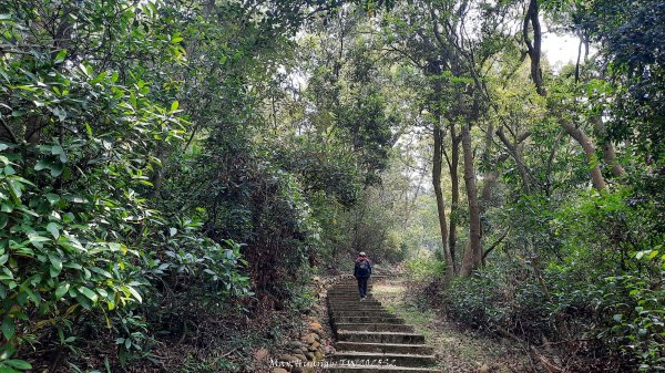 《台中》悠然雅緻｜后里毘盧禪寺小O精華步道202504042752322