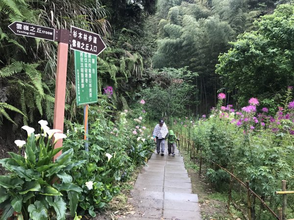 110年4月25日雲林  雲嶺之丘 五元二角 木馬古道1456559