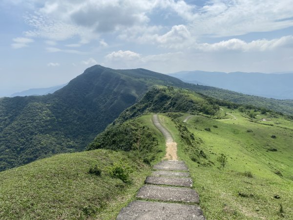 20240421灣坑頭山步道2485375