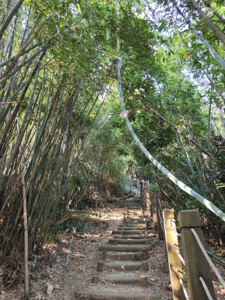 2023.11.15 新田登山步道登聚興山2494842