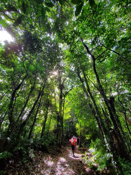 小百岳-馬那邦山1082599