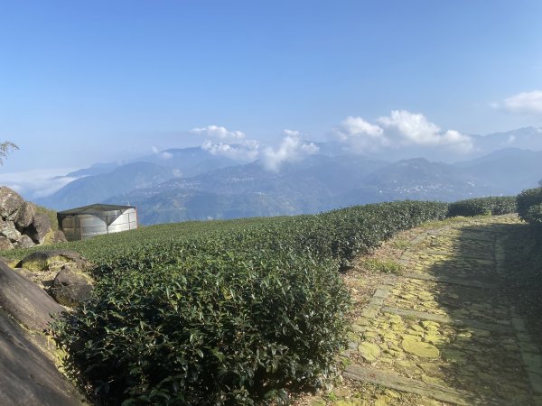 1140112出水坑篤鼻山步道2690786