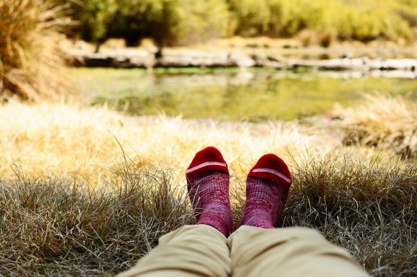 武法奈尾山天巒池872535