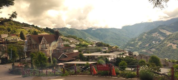 立鷹山森林步道3056146