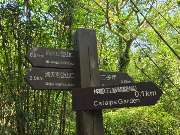 面天山、向天山3045029
