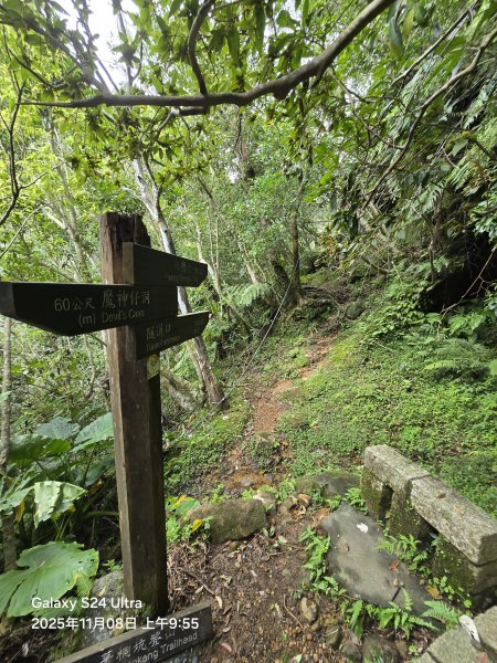 2025-11-08微笑山線：【五分山系】菁桐煤礦段2932714