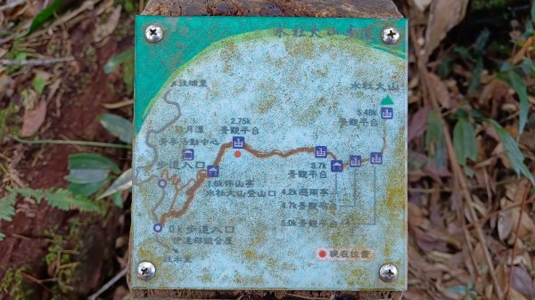 水社大山/水社主峰（青年活動中心起登）1613880