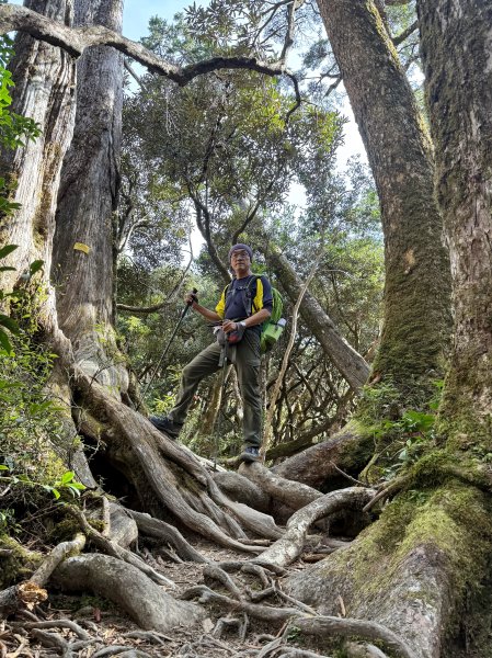塔曼山 連走 拉拉山森林遊樂區 O繞 202510112923662