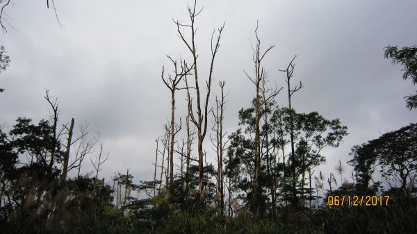 礁溪 - 聖母步道  煙雨故人來 ... 222687