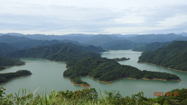 [影片分享]雲山水花鳥蝶 - 北宜沿線追雲槓龜，首訪鱷魚島 9/5