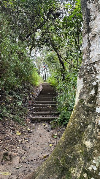 登頂領會如鳶高飛之鳶山1935691