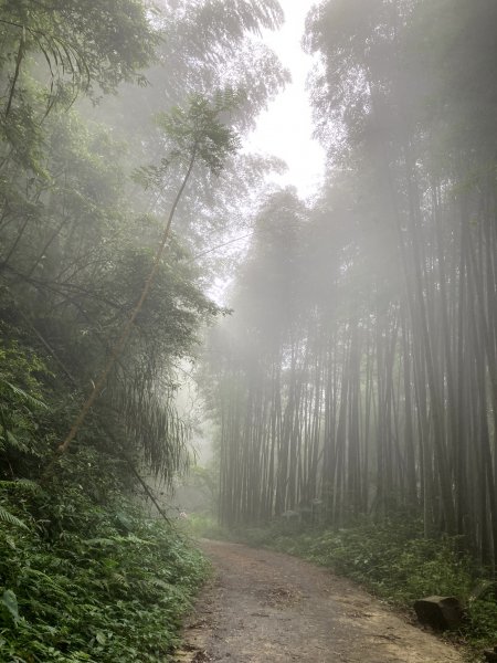 2023-09-30 頂石棹 雲之道2300731