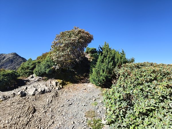 北一段(11/14)南湖北峰 2025_0906~132887266