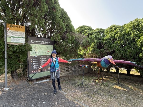 頭嵙山二嵙山O形2690488