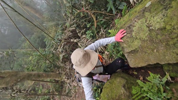馬武督山西南峰+馬武督山O型走3012865