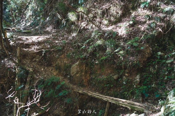 霞山鐵道野營2843084