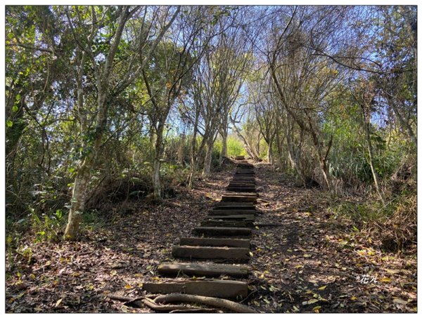 獵人古道、望美山、瓊山 連走3011773