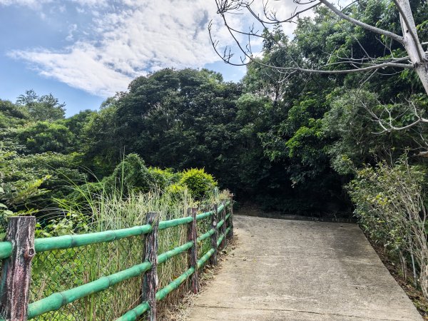 [皮皮獅動物派對-01/10] 2026_0815 寶山迴龍步道、環湖步道3112357