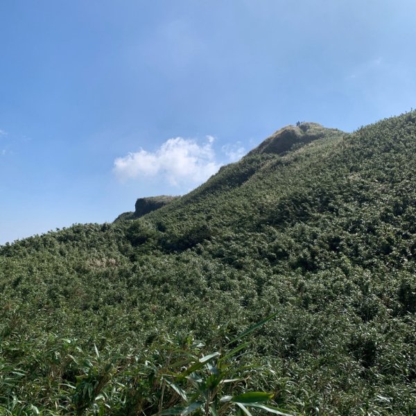 七星山主峰、東峰3124767