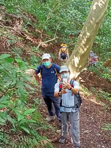 《暢遊天母翠峰瀑布、天母古道、下竹林山、玉稠湖山主峰&南峰》1445599