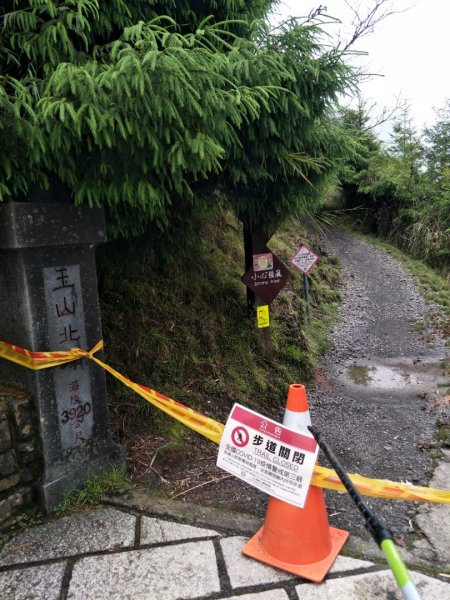 塔塔加步道(東埔大草原-大杉登山步道1430034