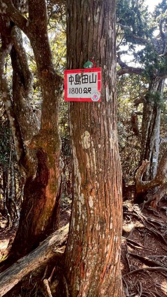 🌈11/9(日)高島縱走~高台山連走島田山山徑✨FB：熊熊趴爬走🌈2932511