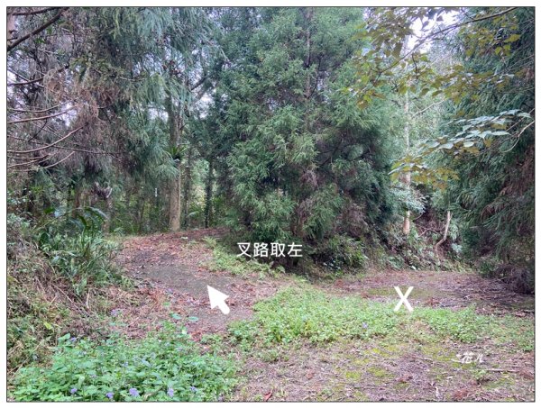南庄山 (苗栗、南庄)2734575