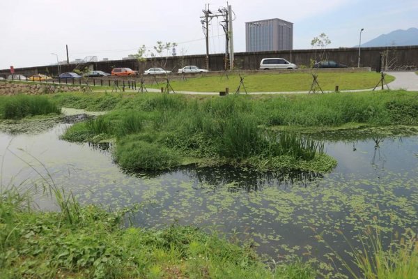 士林  雙溪濕地公園，雙溪公園步道    現代與古典 今非昔比之強烈對比。內雙溪自然中心步道2152831