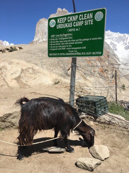 喀喇昆侖山K2基地營健行647910