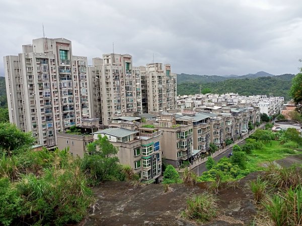 【白金縱走】內湖白鷺鷥山→汐止金龍湖（2-2 新北市汐止區 油桐嶺→金龍湖）1702385