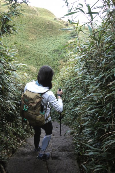 台北大縱走第三段 風櫃口-頂山-擎天崗-冷水坑-七星山-小油坑1585332