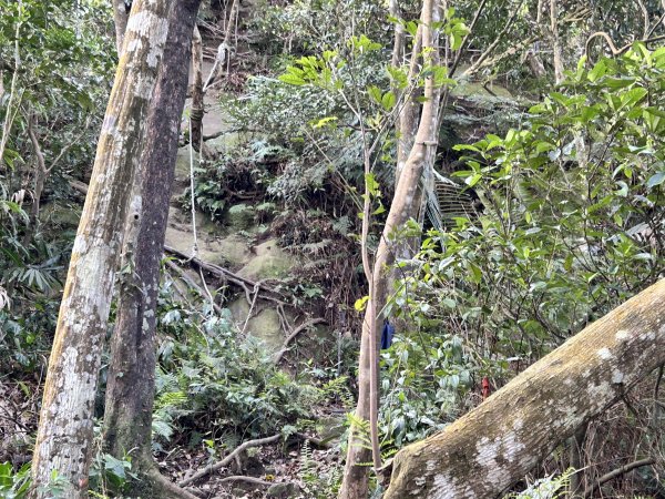 桃園金面山2752284