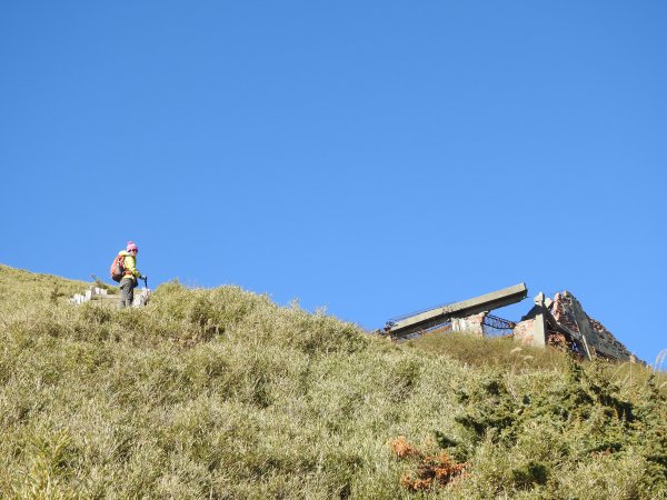 悠閒漫遊 合歡東峰1960483