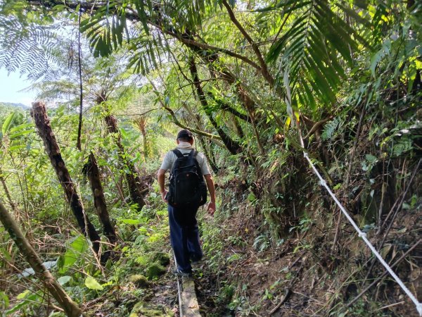 雙溪區威惠廟+下坑山+570峰+大埤格+崩山坑古道O型2814821