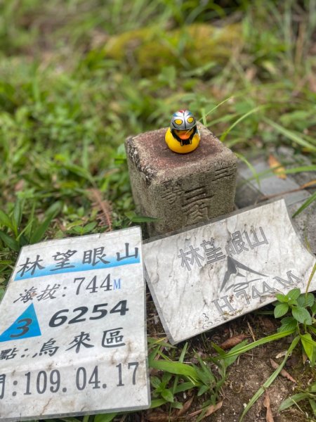 烏來插天山隘勇線-插天山監督所-林望眼山-北插東峰-林望眼山西峰2591851