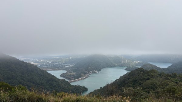 迷霧2986978