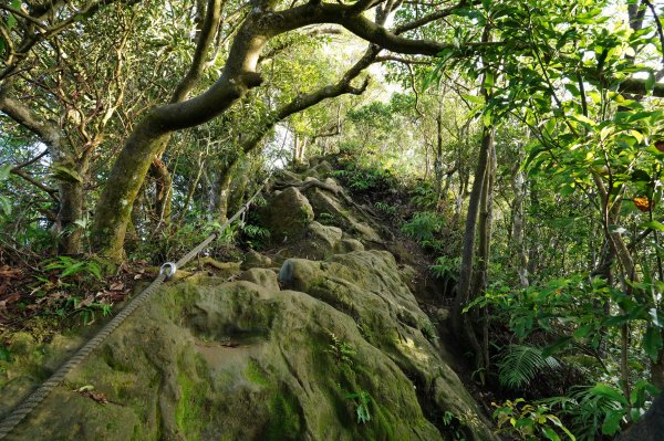 新北 石碇 皇帝殿東峰2628228