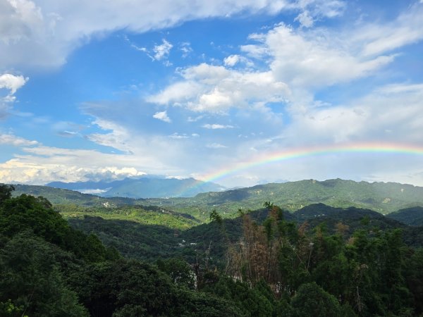 台中大坑頭嵙山（大冠鷲／木蜂／五色鳥／血藤花／鳳凰花）2796623