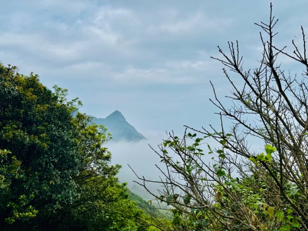 無耳茶壺山 看風景3026454