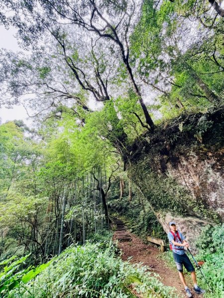 1150730嘉義大凍山之旅3092613